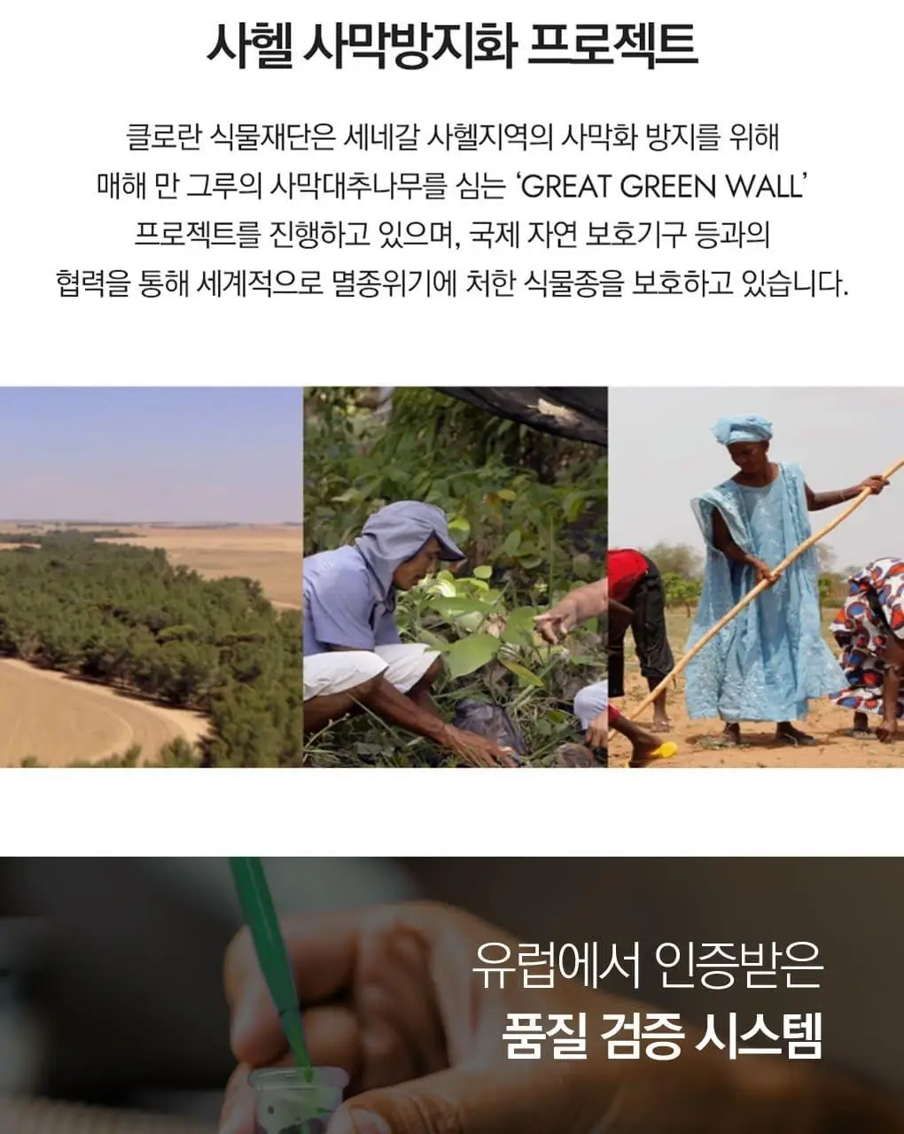 [건조모발 & 지성두피] 클로란 시트러스 스케일링 샴푸 400ml 상세페이지 15